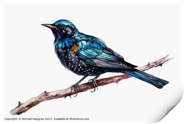 Watercolor painted starling on a white background. Print by Michael Piepgras