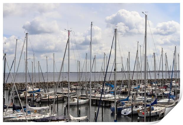 Lots of boats at the Marina in Schilksee close to Kiel in German Print by Michael Piepgras