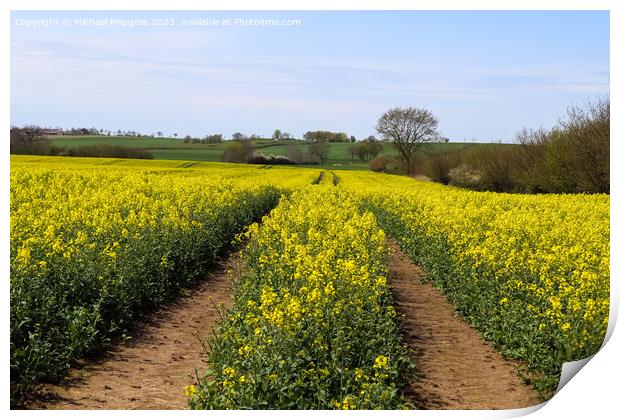 Tire tracks in a yellow field of flowering rape against a blue s Print by Michael Piepgras