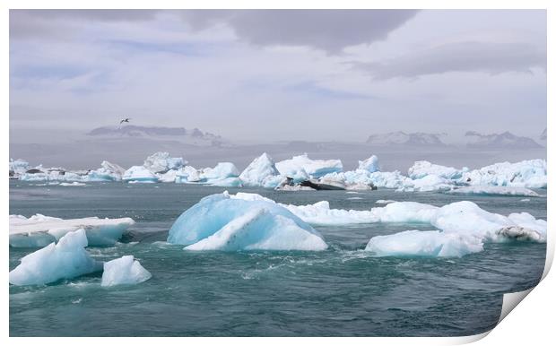Iceland, Jokulsarlon Lagoon, Turquoise icebergs floating in Glacier Lagoon on Iceland. Print by Michael Piepgras