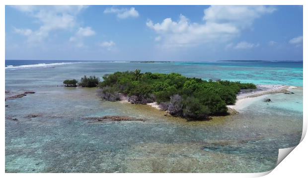 Drone view of paradise islands of the Maldives with coral reefs  Print by Michael Piepgras