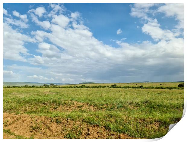 Typical savannah landscape in the heart of Africa during the rai Print by Michael Piepgras