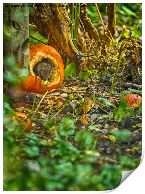 Wood Mouse In a Pumpkin  Print by Gilbert Hurree