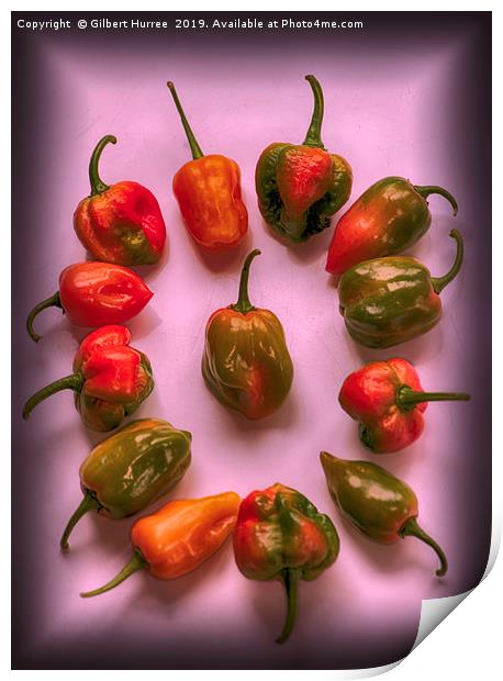 Hottest Chillies in The World Print by Gilbert Hurree