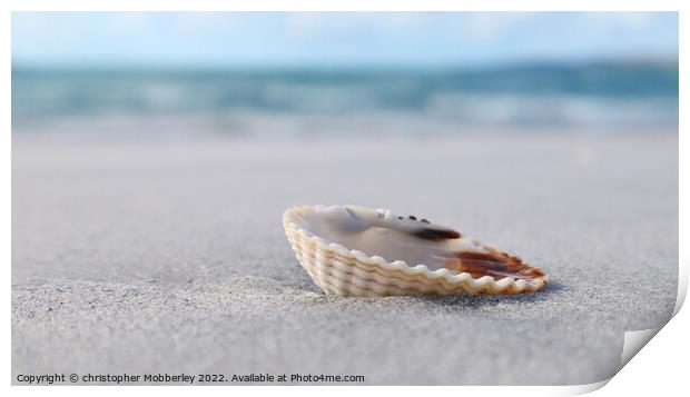A Shell on Clachan Sands Print by Chris Mobberley