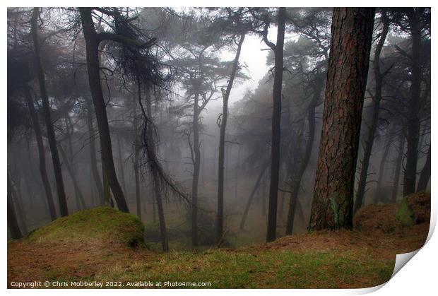 Calm woodland mist Print by Chris Mobberley