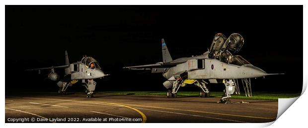 Pair of Jaguars Print by Dave Layland