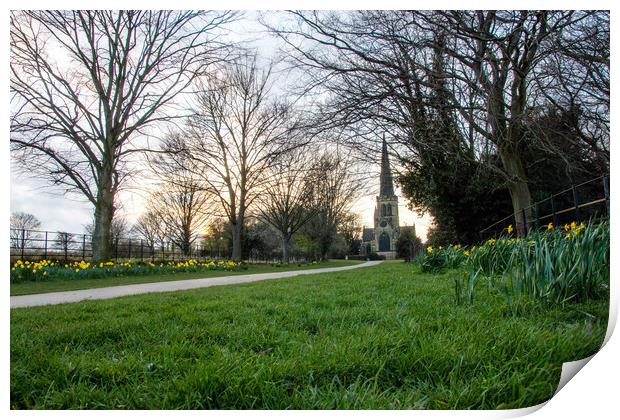 Wentworth Church Daffodils Print by Apollo Aerial Photography