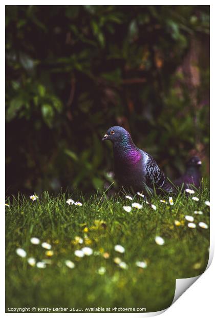Pigeon Portrait Print by Kirsty Barber