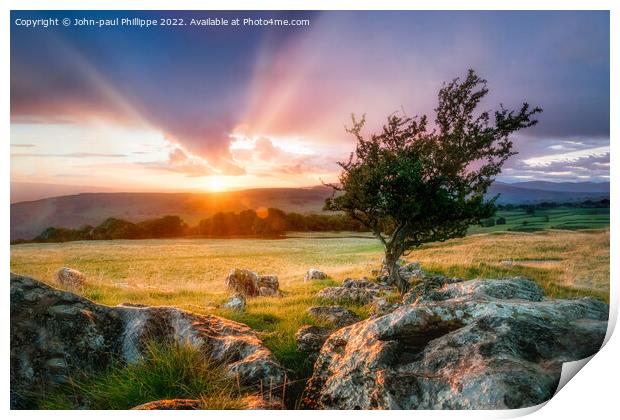 Lone Tree In Yorkshire Dales Print by John-paul Phillippe