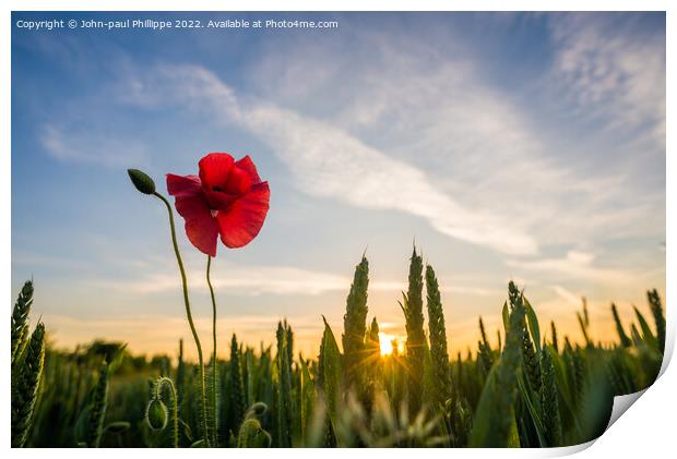 Poppy Sunset Print by John-paul Phillippe