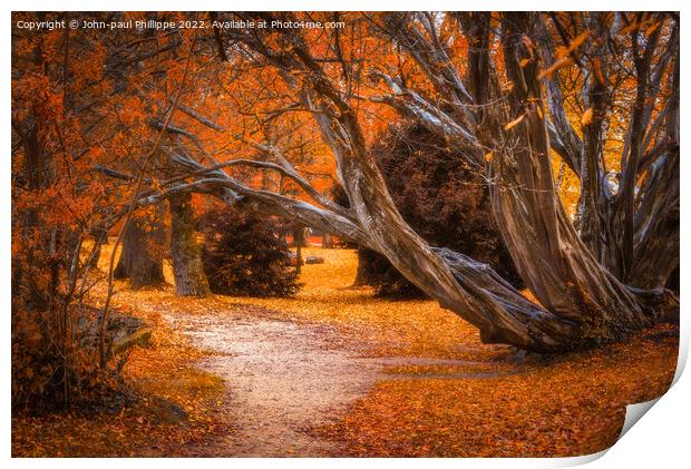 Autumn Path Print by John-paul Phillippe