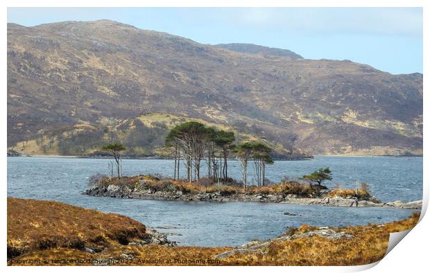 Island in the Highlands Print by Horace Goodenough