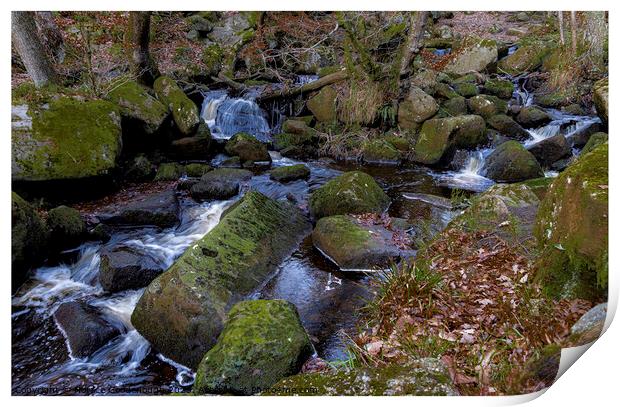 Padley Gorge Print by Horace Goodenough