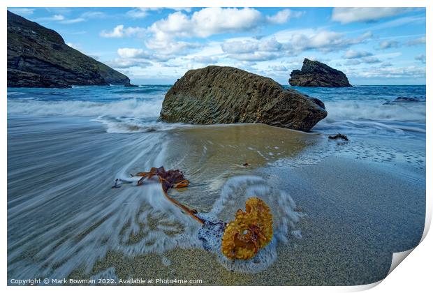 Seaweed at Portheras Cove Print by Mark Bowman