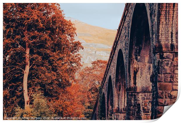 Snowdon Railway Viaduct Bridge Print by Adrian Burgess