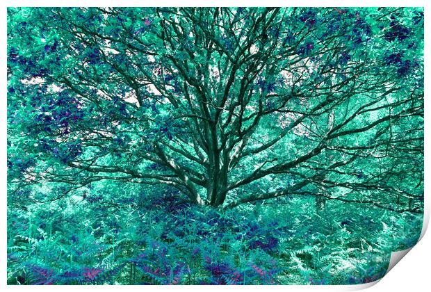 Grand Tree - Aqua Print by Adrian Burgess