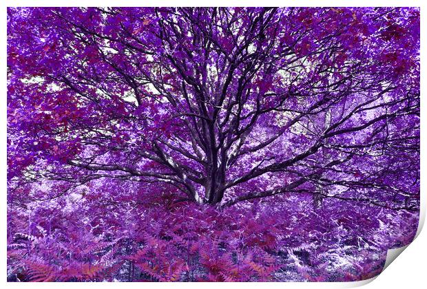 Grand Tree - Purple Print by Adrian Burgess