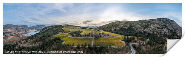 panorama of a vineyard on top of a mountain Print by steeve raye