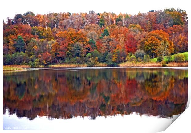 Autumn Reflections Print by Robin Clarke