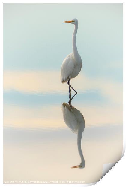 Elegant Egret Print by Neil Edwards