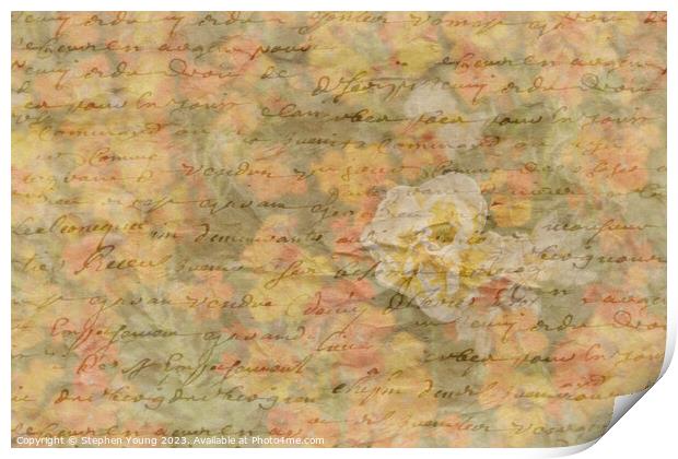 Vintage Love Letter Print by Stephen Young