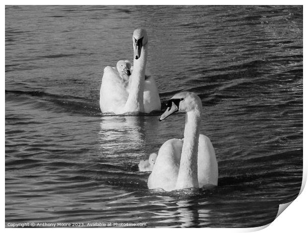 Family Day Out on the Canal. Print by Anthony Moore