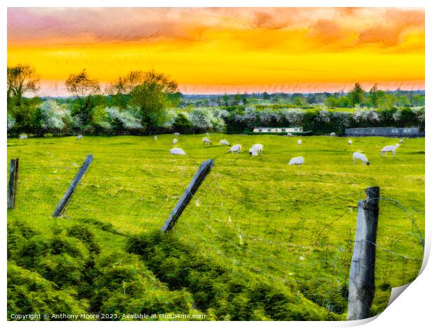 Sunset In Braunston. Print by Anthony Moore