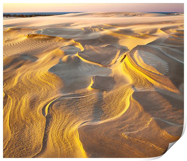 Eroded Lake Michigan Dune Print by David Roossien