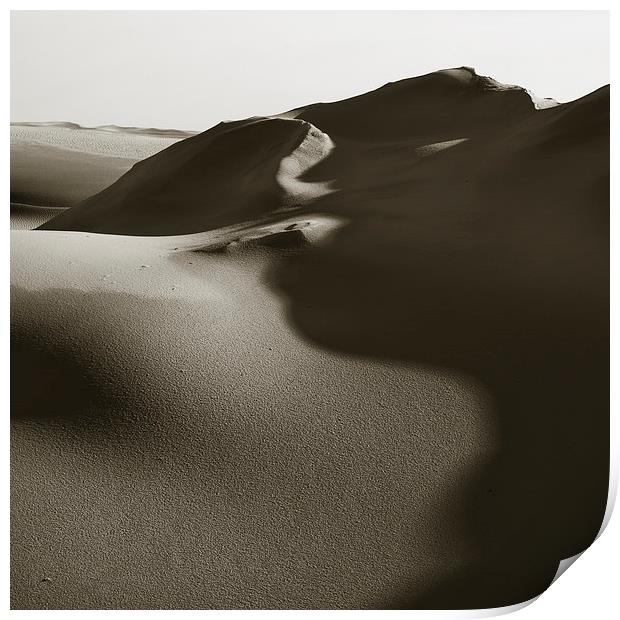 Dune And Shadow Print by David Roossien