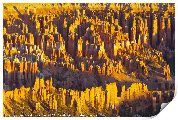 Amphitheater, Bryce Canyon National Park Print by David Roossien