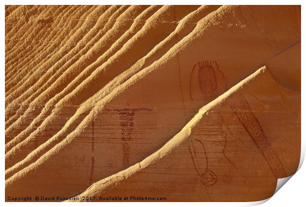 Fins and Petroglyphs, Buckhorn Wash, Utah, USA Print by David Roossien