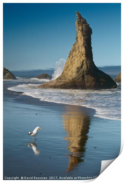 Chokng Call and Witch's Hat, Bandon, Oregon, USA Print by David Roossien