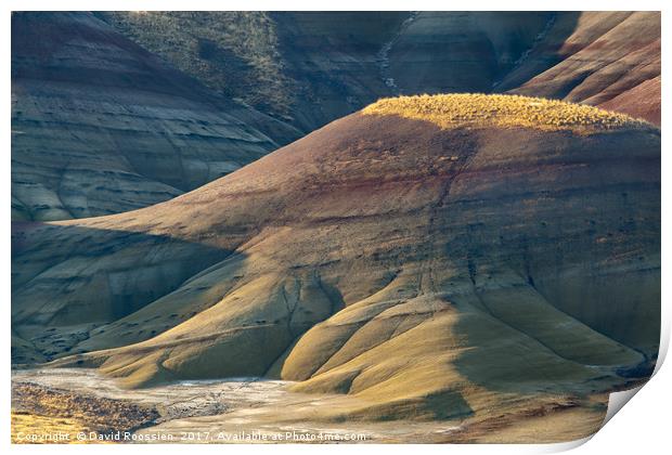 Painted Shadows, Painted Hills of Oregon, USA Print by David Roossien