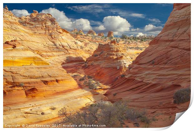 Sandstone Wash, Coyote Buttes, Southern Utah, USA Print by David Roossien