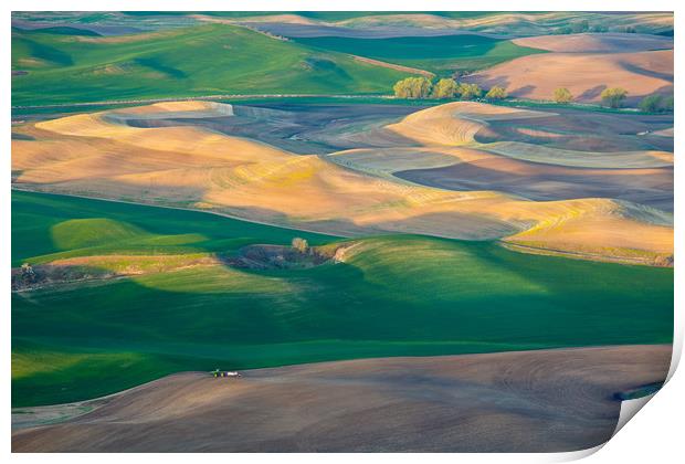 Painted Hills of Palouse, Southeastern Washington Print by David Roossien