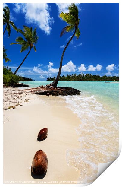 Coconuts washed up palm tree crystal sandy beach  Print by Spotmatik 