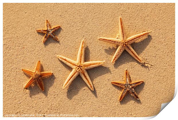 Starfish from tropical ocean on Caribbean island beach Print by Spotmatik 