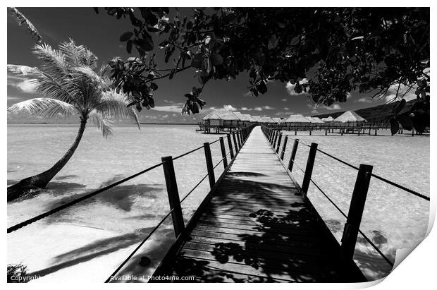 Bora Bora Island walkway jetty Overwater luxury Bungalows  Print by Spotmatik 