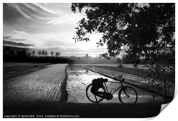 Sunset Java Indonesian bicycle rice paddy fields Asia Print by Spotmatik 