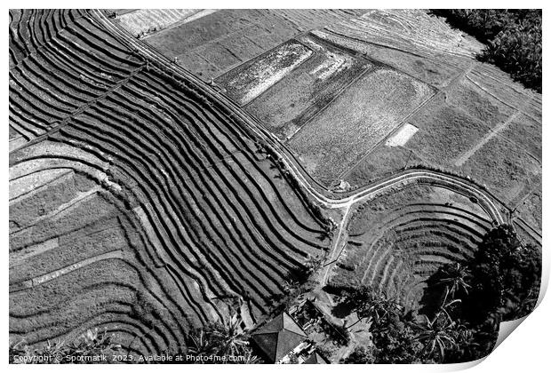 Aerial Bali plantation farming on rice terraces Indonesia Print by Spotmatik 