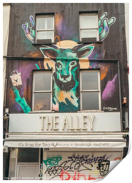 The Alley Print by Benjamin Brewty