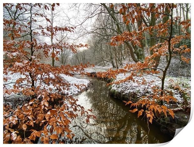 River Irk in the Snow Print by Gemma De Cet