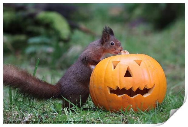 Red Squirrel with Halloween Pumpkin  Print by Gemma De Cet