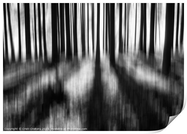  Dark moody forest. Print by Cristi Croitoru