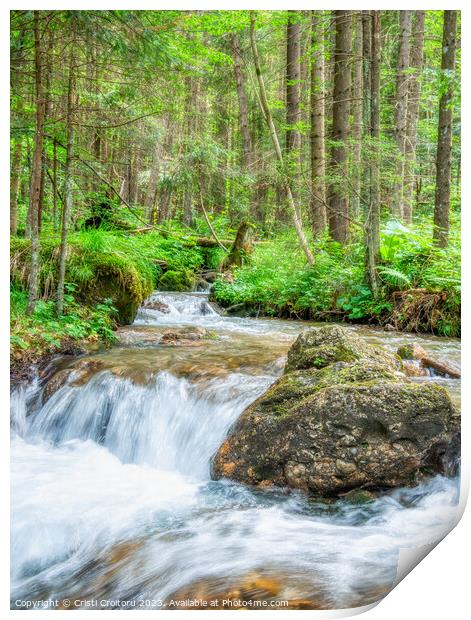 Stream flowing smoothly in the forest. Print by Cristi Croitoru