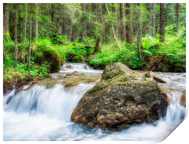 Stream flowing smoothly in the forest. Print by Cristi Croitoru