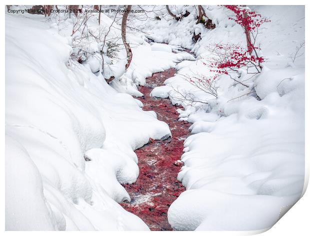 Blood red stream. Print by Cristi Croitoru
