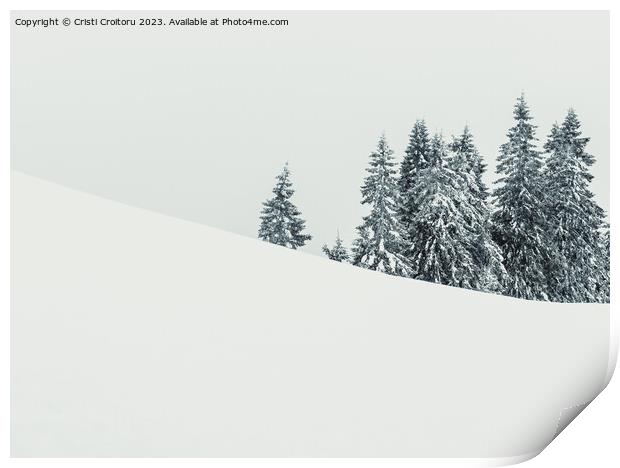 Winter landscape. Print by Cristi Croitoru