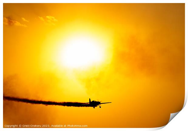 Airplane flying at sunset.  Print by Cristi Croitoru
